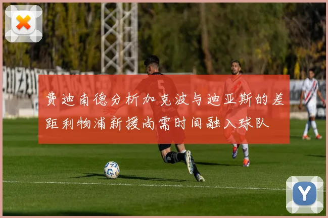 费迪南德分析加克波与迪亚斯的差距利物浦新援尚需时间融入球队